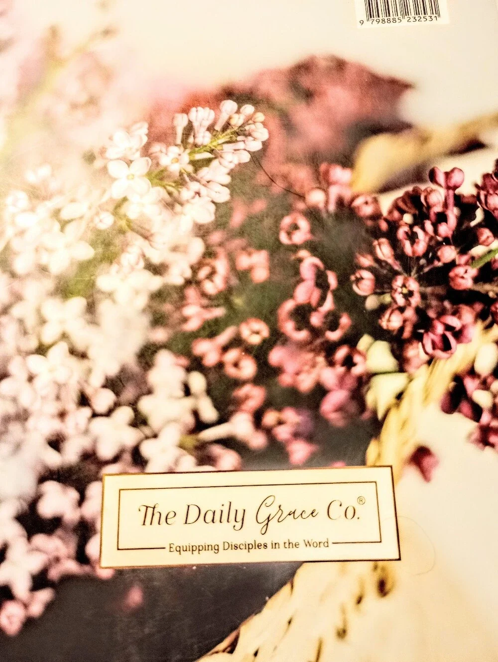 The daily grace co bible study